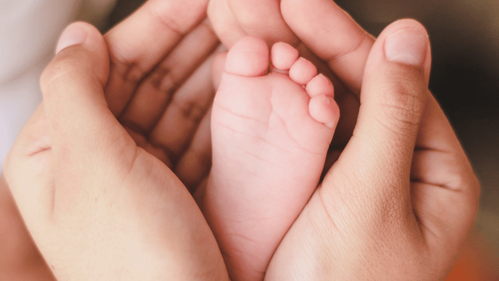 organic baby food brands
