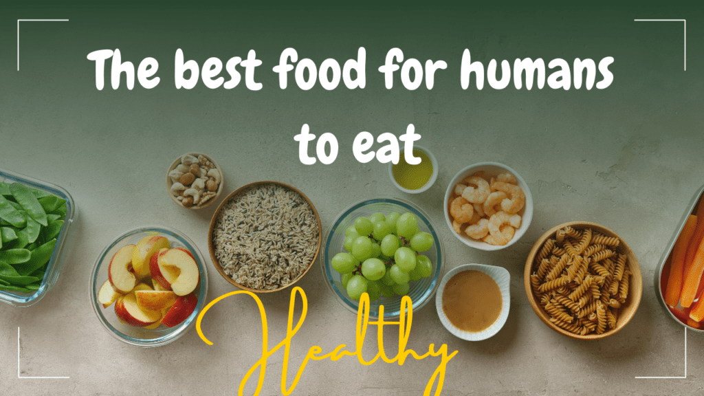 The best food for humans to eat